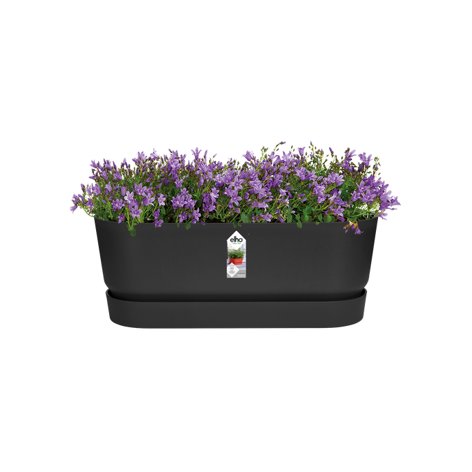 greenville pflanzgefäß lang 50cm living schwarz